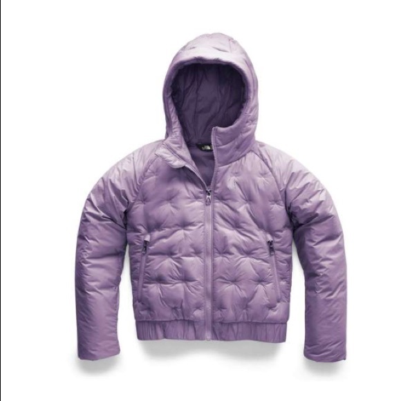 The North Face Other - ❌❌SOLD❌❌New w/tags North Face jacket girls size Large